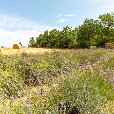 Farm stay Selvoli - La Civetta